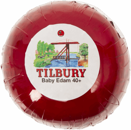 Edam Tilbury baby 40+